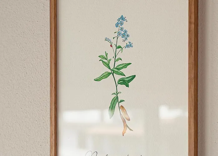 La Costa * Gropparello