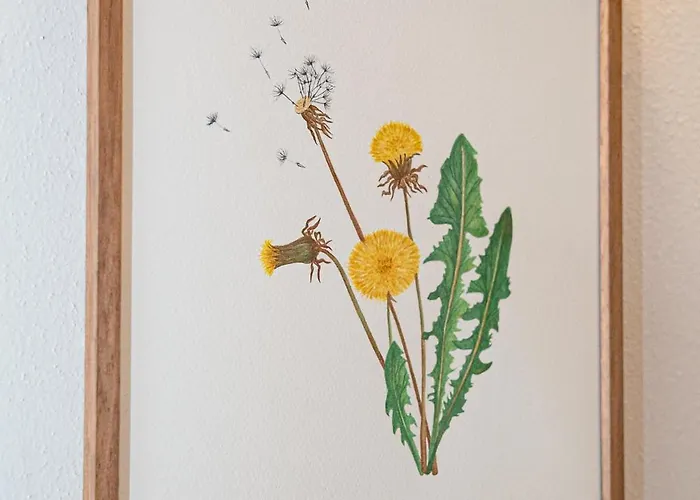 La Costa Gropparello