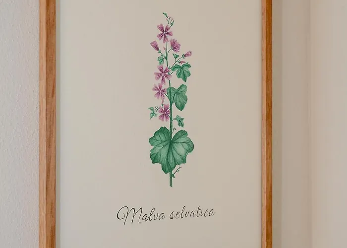 בית חווה La Costa *