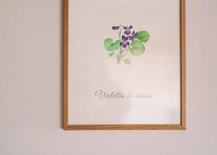 La Costa Gropparello