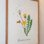 La Costa Gropparello
