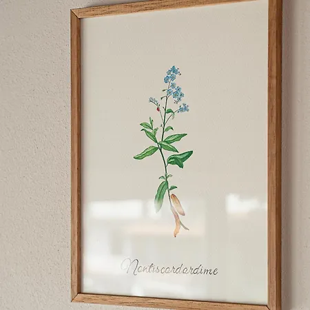 La Costa * Gropparello