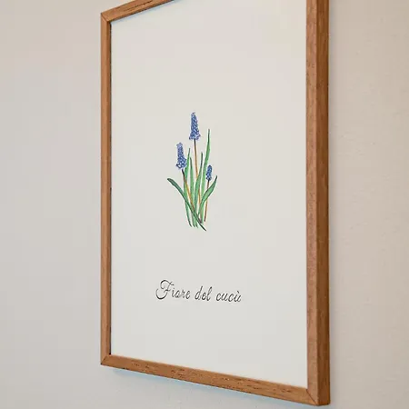 La Costa * Gropparello