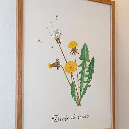 La Costa 그로파렐로