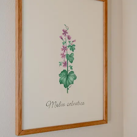 Alojamento de Turismo Rural La Costa *