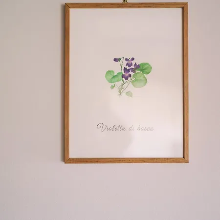 La Costa Gropparello