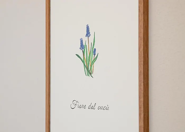 La Costa * Gropparello